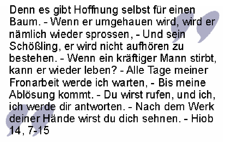 Bibelzitat aus Hiob: Wenn ein Mann stirbt, kann er wieder leben?