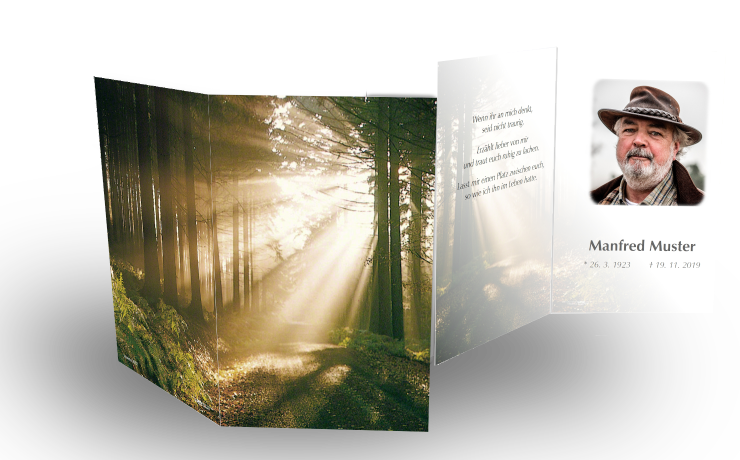 Trauerbilder mit Spruch - Motiv Wald im Gegenlicht