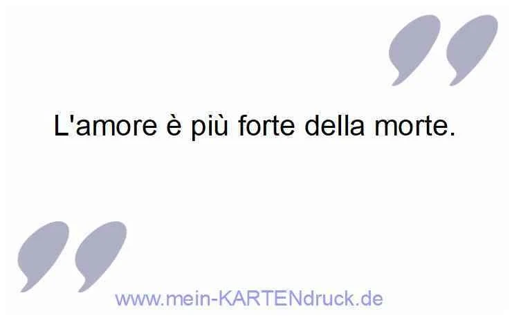 Citazioni L'amore è più forte della morte.